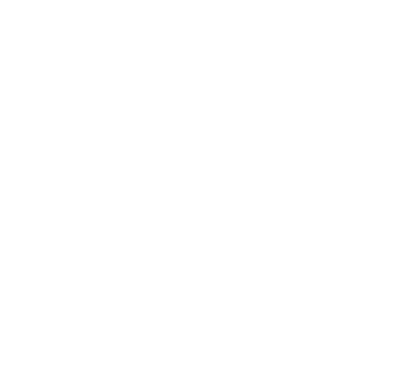 Mobiliza