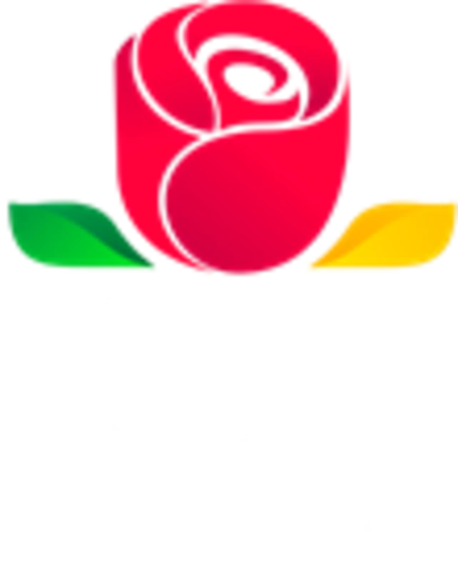 PDT